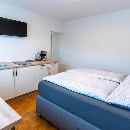 Apartment Gaestehaus Berthold Moehn Mainz