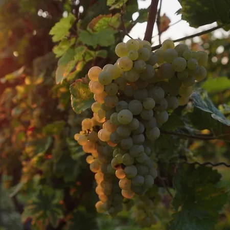 Daire Gaestehaus Berthold Moehn Mainz