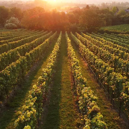 Daire Gaestehaus Berthold Moehn Mainz