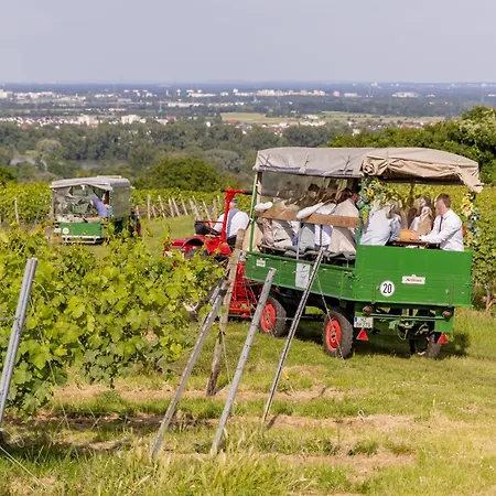 Gaestehaus Berthold Moehn Daire