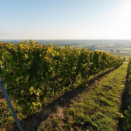 Gaestehaus Berthold Moehn Apartamento *