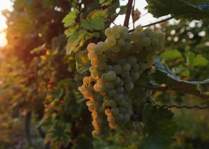 דירה Gaestehaus Berthold Moehn מיינץ