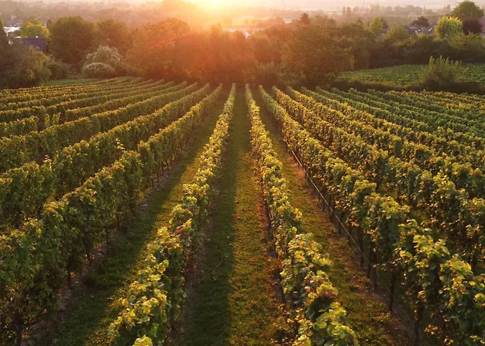 Apartamento Gaestehaus Berthold Moehn Mainz