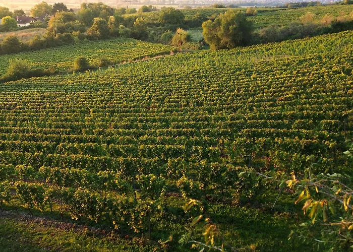 Apartamento Gaestehaus Berthold Moehn Mainz