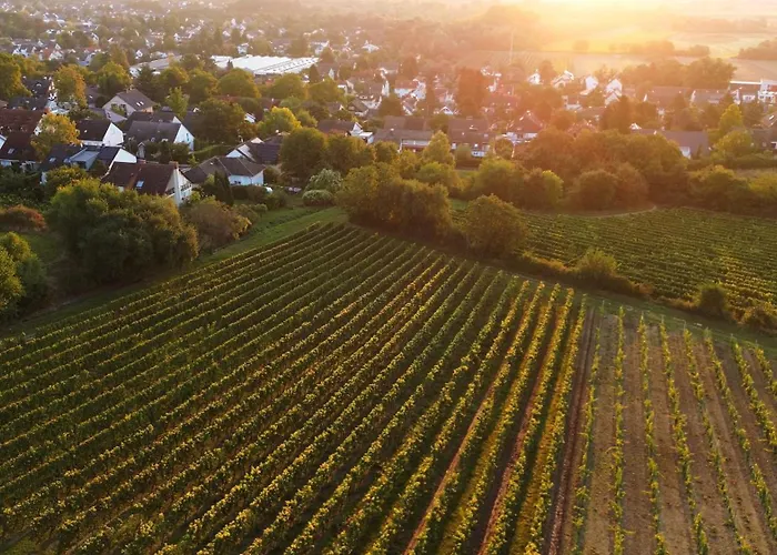 Gaestehaus Berthold Moehn Mainz