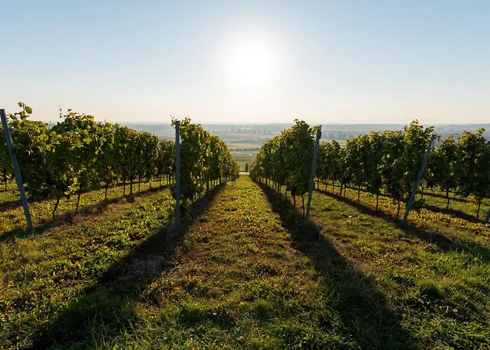 Gaestehaus Berthold Moehn דירה