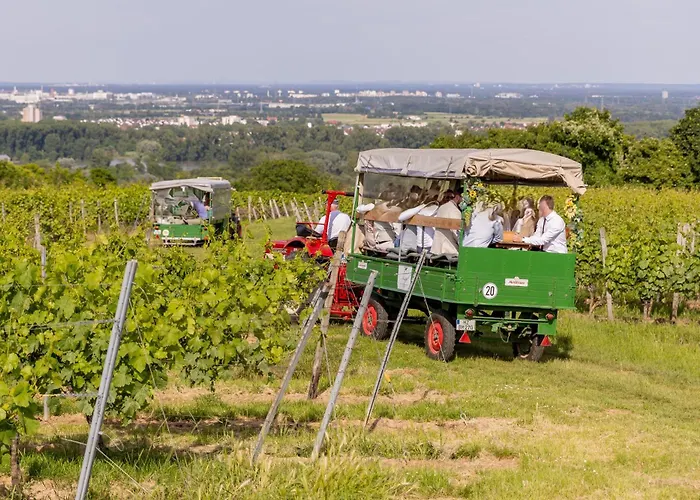 Gaestehaus Berthold Moehn Apartamento