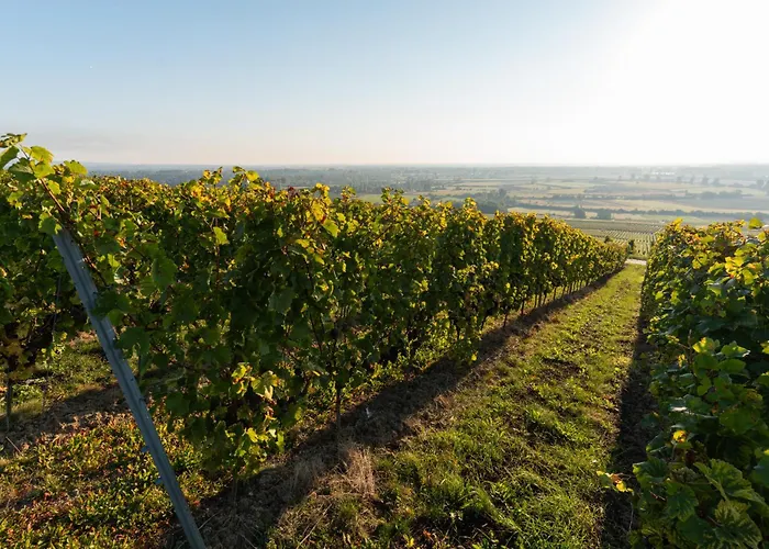 Gaestehaus Berthold Moehn Apartamento *