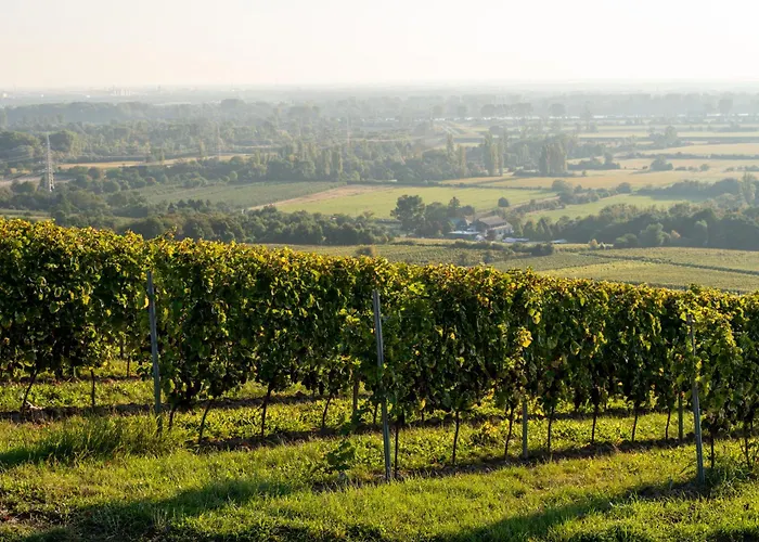 Apartamento Gaestehaus Berthold Moehn